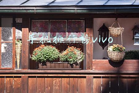 vivo手机处理器排行榜(11月手机性能榜：骁龙888系列机型最后的霸榜，vivo成最大赢家)