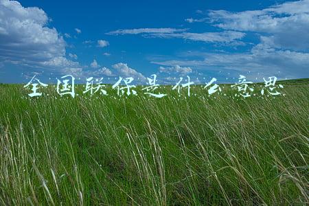 全国联保是什么意思