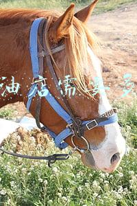 小区门口开个粮油店；小区门口开个粮油店利润怎么样