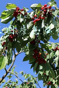 相册里图片怎么合并成一张图 相册里图片怎么合并成一张图