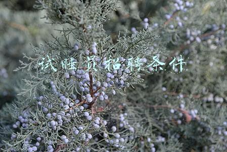 试睡员招聘条件培训吗(试睡员招聘条件有哪些？爱好旅游会不会加分？)