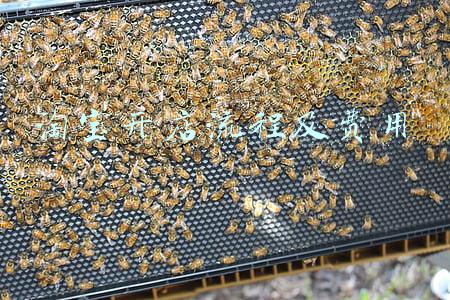 淘宝开店流程及费用标准(淘宝网店怎么开大概需要多少钱？揭秘开店流程及费用)