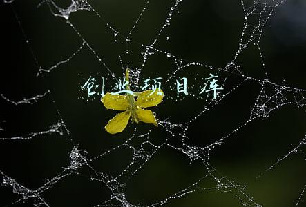 创业项目库征集(最高奖金10万元！第六届“渝创渝新”创业创新大赛发布征集令)