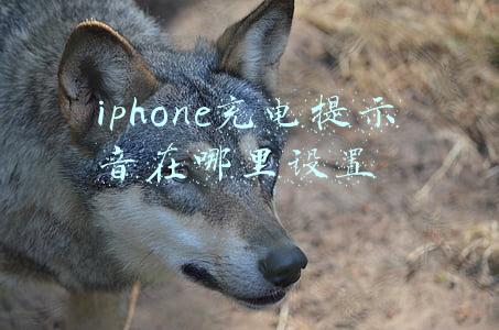 iphone充电提示音在哪里设置