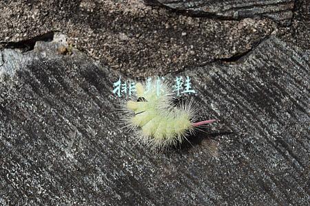 排球鞋哪个牌子好(一双1500块钱的排球鞋 为什么让篮球迷期待了？)