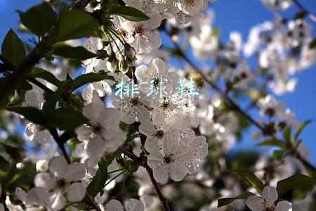 排球鞋怎么选择(选购羽毛球鞋我们需要注意这三点，才能找到适合自己的\u0026#34;七彩祥云\u0026#34;)