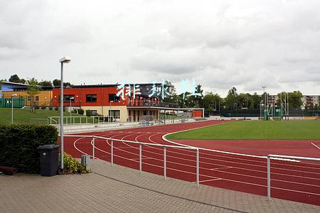 排球鞋男(近千元的冷门鞋居然比旗舰款还强！这双能打篮球的排球鞋真不错)