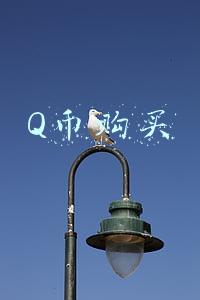 Q币购买