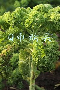 Q币购买
