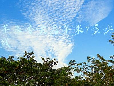 苹果7实体店多少钱一部(苹果7实体店多少钱一部二手)