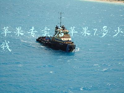苹果7好多钱一个：苹果7好多钱
