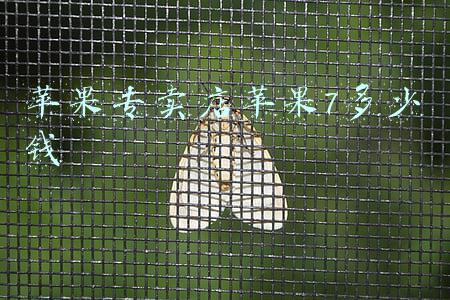 苹果专卖店刷机多少钱，苹果专卖店刷机多少钱一次