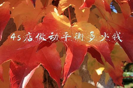 去4s店做动平衡多少钱_4s店做动平衡多少钱一次
