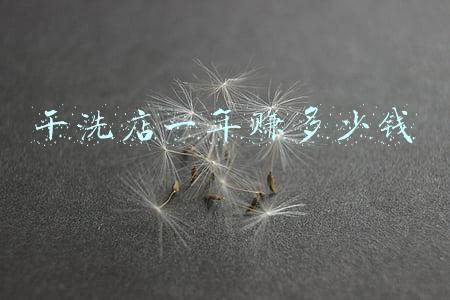 干洗店一年的利润大概是多少(干洗店一年利润怎么样)