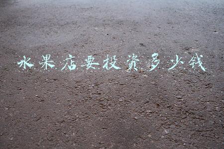 开个水果店需要投资多少钱_开个小的水果店要投资多少钱