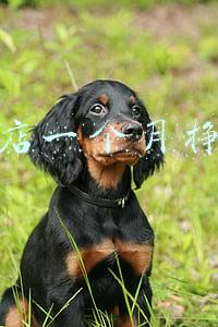 咖啡店工资一般多少钱(咖啡店工资一般多少)