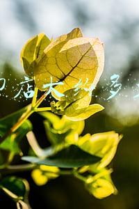 开复印店大约多少投资