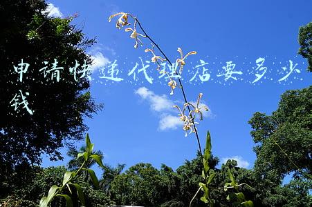 申请快递代理点需要多少钱《如何申请快递代理点需要多少钱》