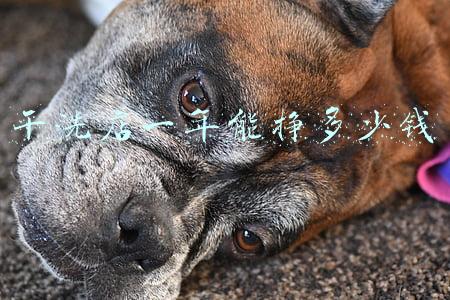 干洗店一年能挣多少钱