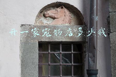 开一家宠物店赚钱吗-开个宠物店赚钱吗