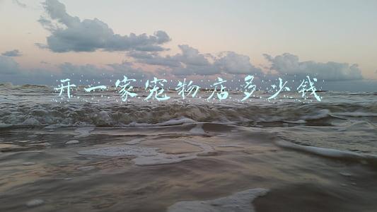 开个宠物店多少钱《宠物店价格》