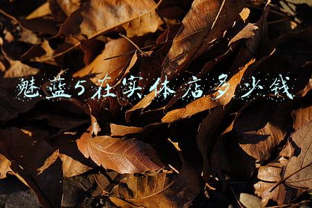 魅蓝手机换电池多少钱 魅蓝手机换电池需要多少钱