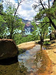 宠物店加盟大概需要多少钱:宠物店加盟需要多少钱