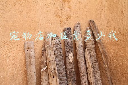 宠物店连锁加盟多少钱《宠物店加盟大概要多少钱》