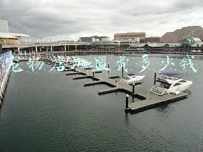 宠物店加盟费多少钱