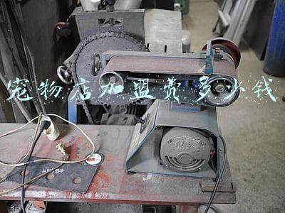 宠物店加盟需要多少钱：宠物加盟店投资多少钱啊