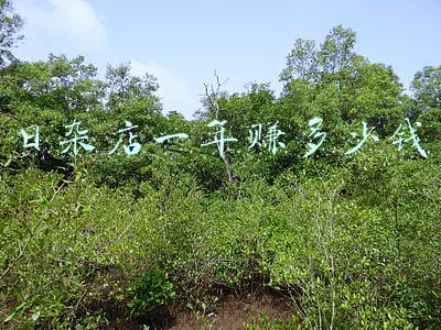 开日杂店赚钱吗_开个日杂店一年能赚多少