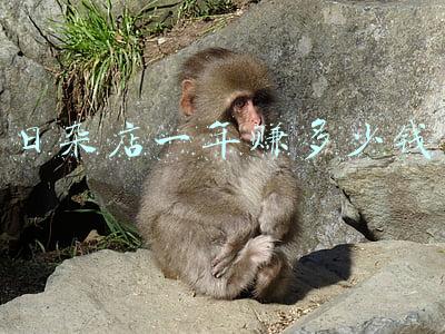 日杂店利润怎么样，日杂店利润怎么样2017