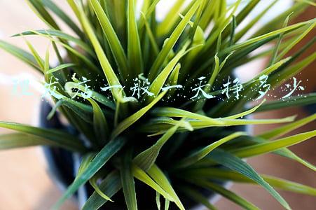 理发店利润一般是多少比例（理发店利润一般是多少）