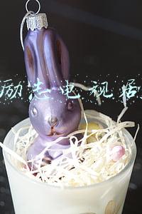 励志电视剧