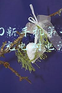 oppo新手机第一次充电要把电用完吗(你真的会给手机充电吗？OPPO闪充开放日将至，这几点需要关注)