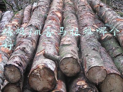 蜻蜓fm喜马拉雅哪个好