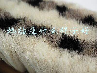 插座什么牌子好(开关插座品牌哪个好？)