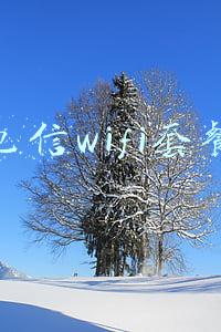 电信无线wifi套餐(中山电信向全市居民提供15万份“博爱康”健康保障)
