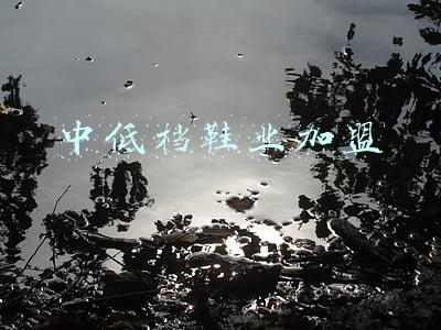 中低档鞋业加盟