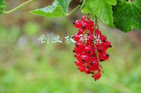 创业板解禁
