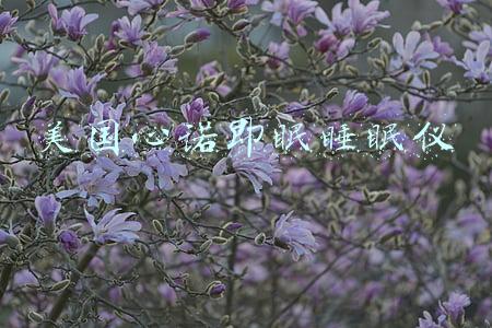 美国心诺即眠睡眠仪睡觉前能用吗(睡眠仪什么牌子好？即眠睡眠仪“夹”走生活的疲惫)