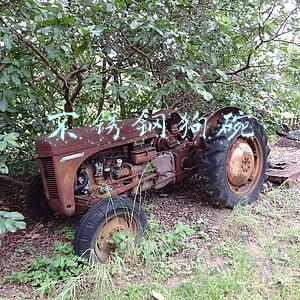 不锈钢狗碗图片(养狗物品需要的必需品和避坑指南)