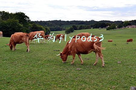 华为flypods3