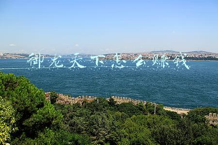御龙天下官网(墙面开裂、楼板漏水 漳州一楼盘交房不久问题频出)