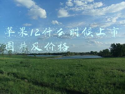 苹果12什么时候上市图片及价格国行(iPhone12国行售价公布：5499元起售价)
