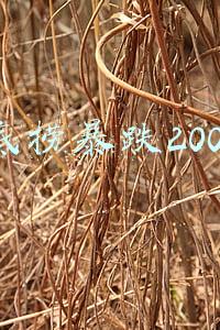 海底捞涨价后又降价事件(海底捞涨价挨骂，这家火锅降价还说要开500家？)