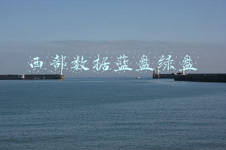西部数据蓝盘绿盘