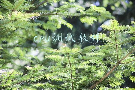 cpu测试软件