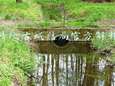 精绝古城结局官方解释