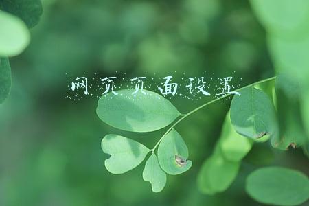 网页页面设置